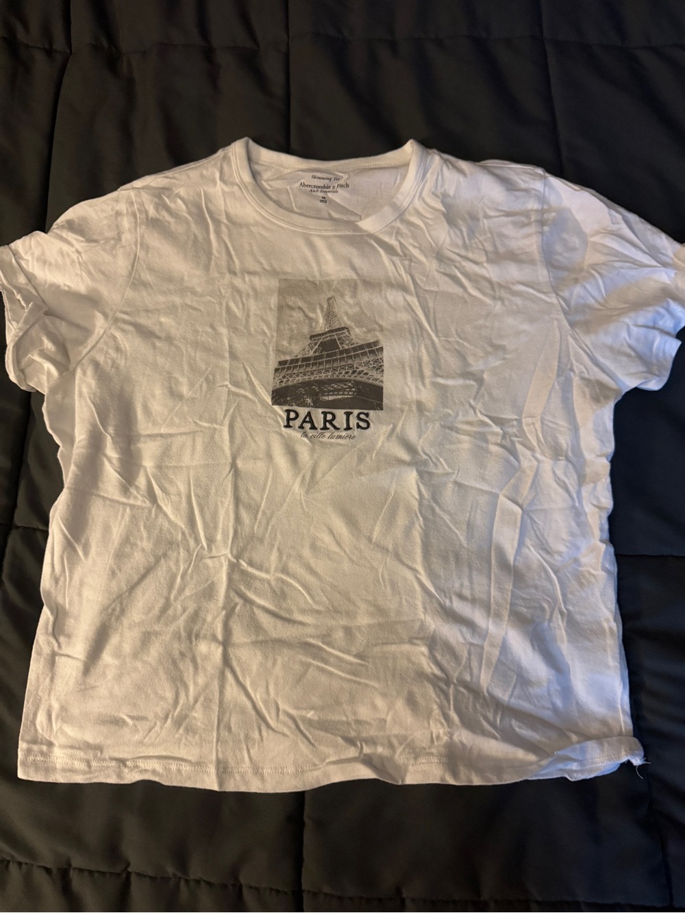 Abercrombie and fitch Paris tshirt